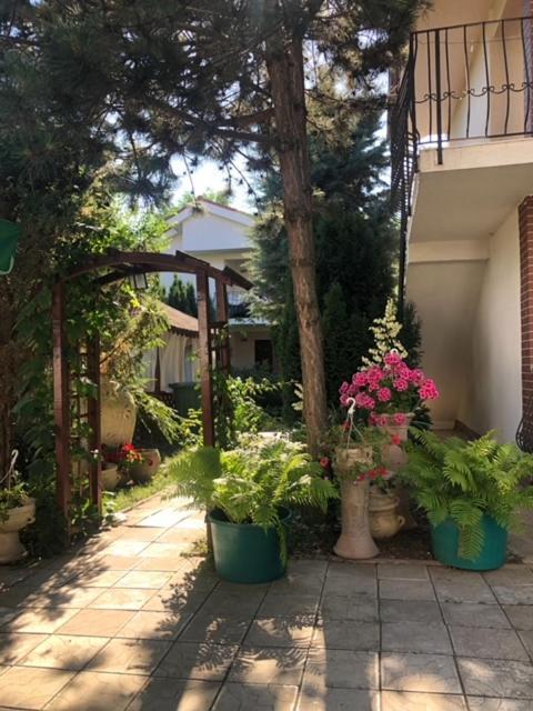 Hotel Suzana Garden Venus Esterno foto